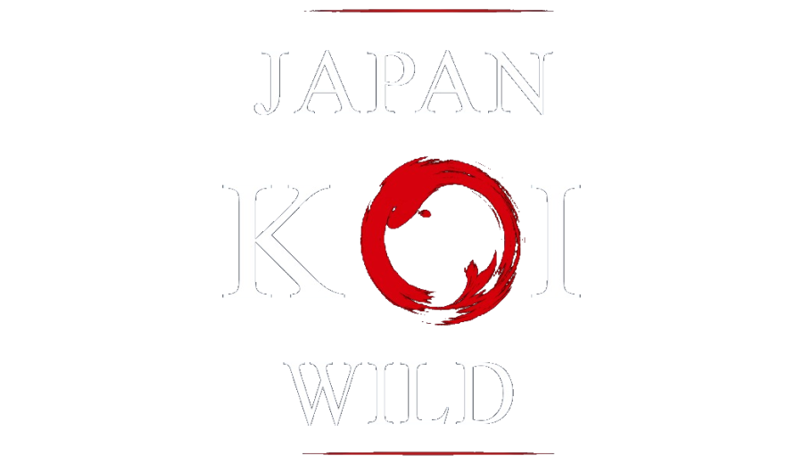 Japan-Koi Wild