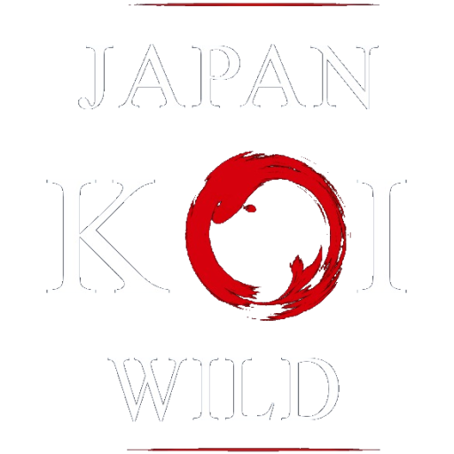 Japan-Koi Wild