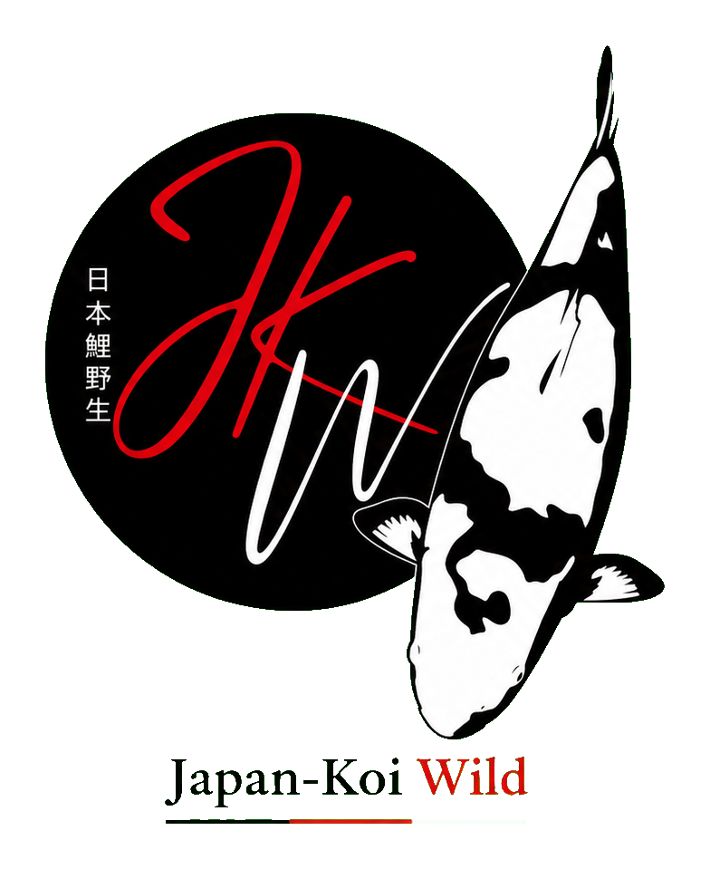 Japan-Koi Wild